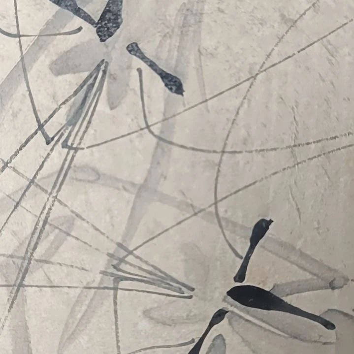 山*好的已经安排了亲