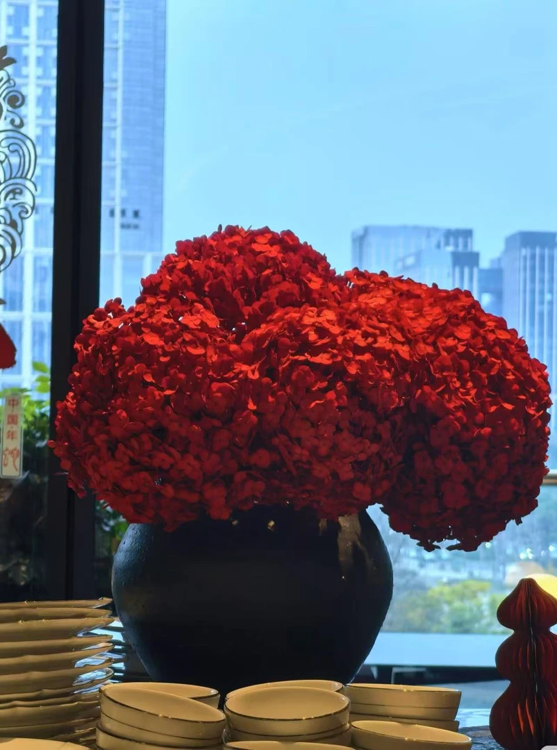 {永生绣球}高级小众水培鲜花绣球花可做干花
