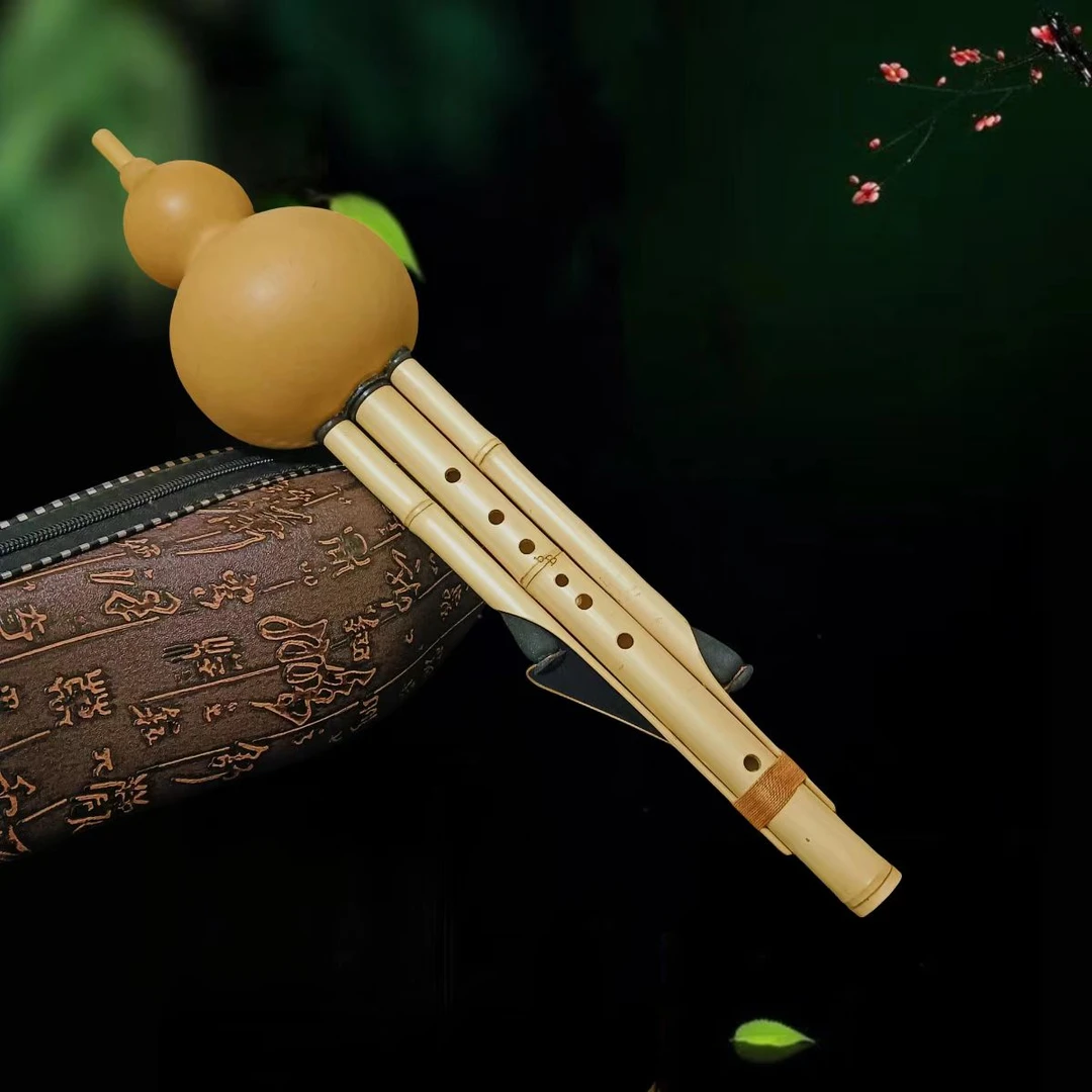 云南金竹七孔高档原生态葫芦丝专业演奏初学乐器成人小DCBbGF调