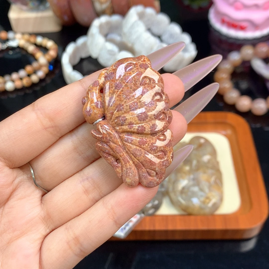 【闪购商品】颈饰未镶嵌硅化珊瑚（珊瑚玉）