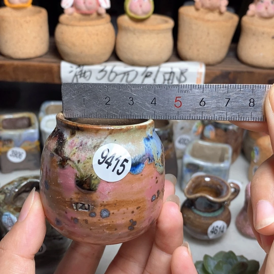 拍5送一个小礼物
