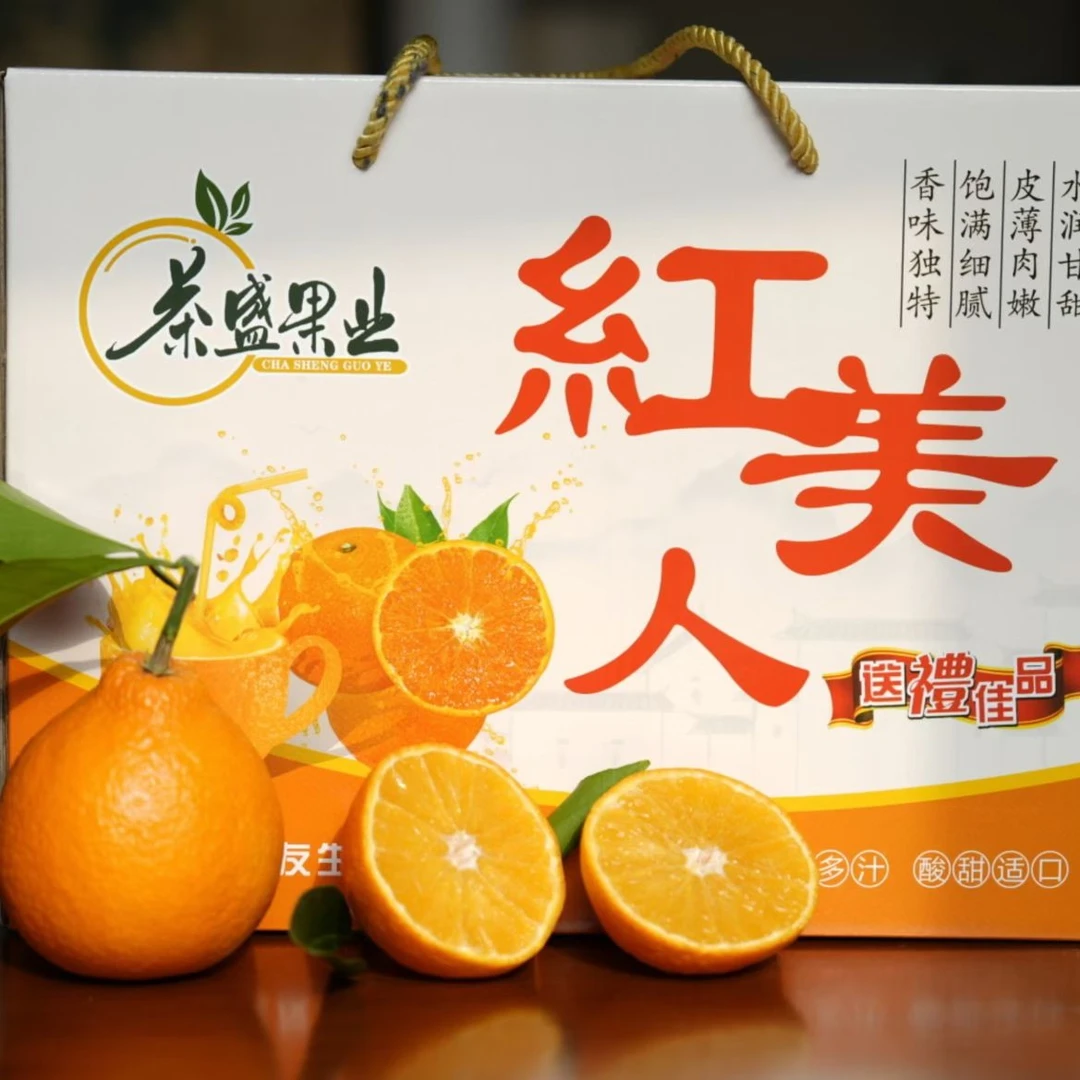 红美人柑橘 《优选中果》