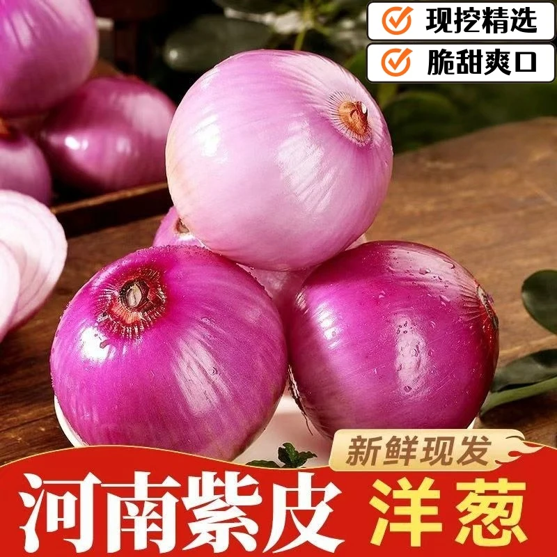 新鲜现挖可生吃的水果洋葱微甜微辣口感脆爽