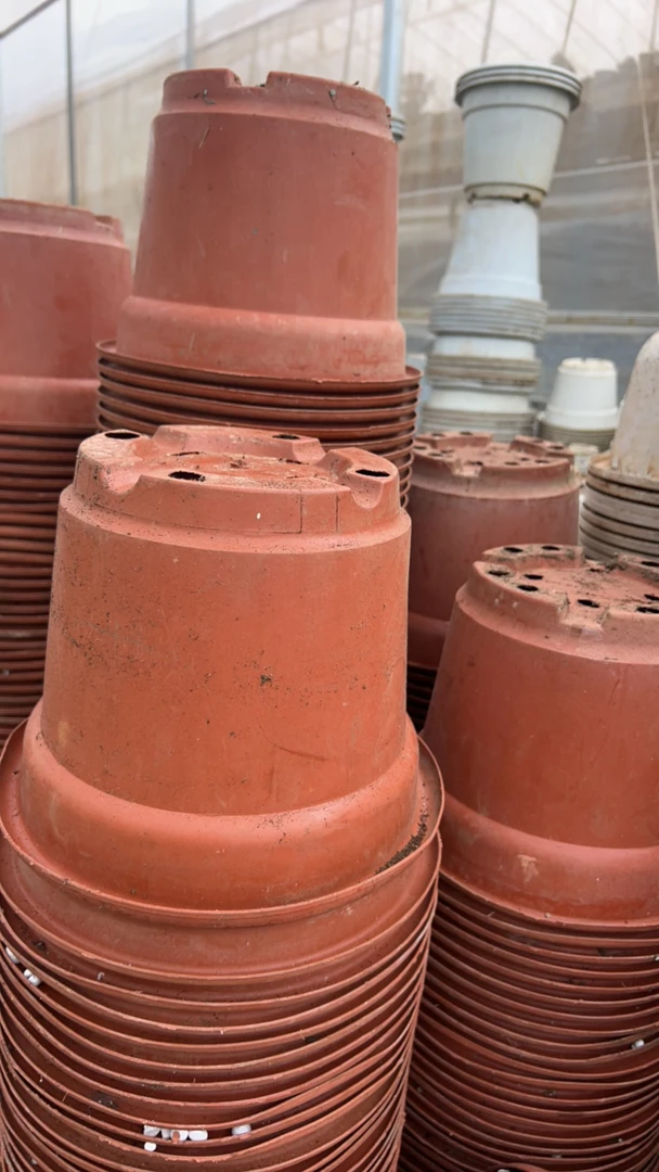 多肉旧花盆 25口径红圆盆19高  5个