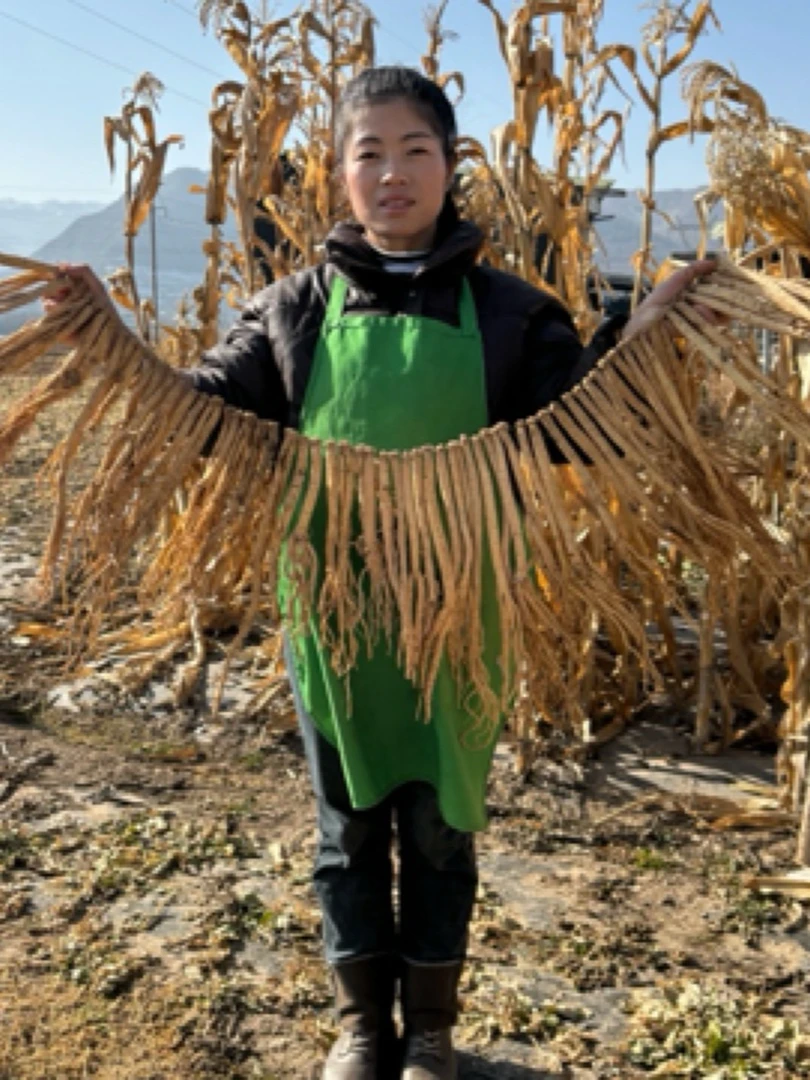 岷县原产地党参源条，软糯甘甜（中条）