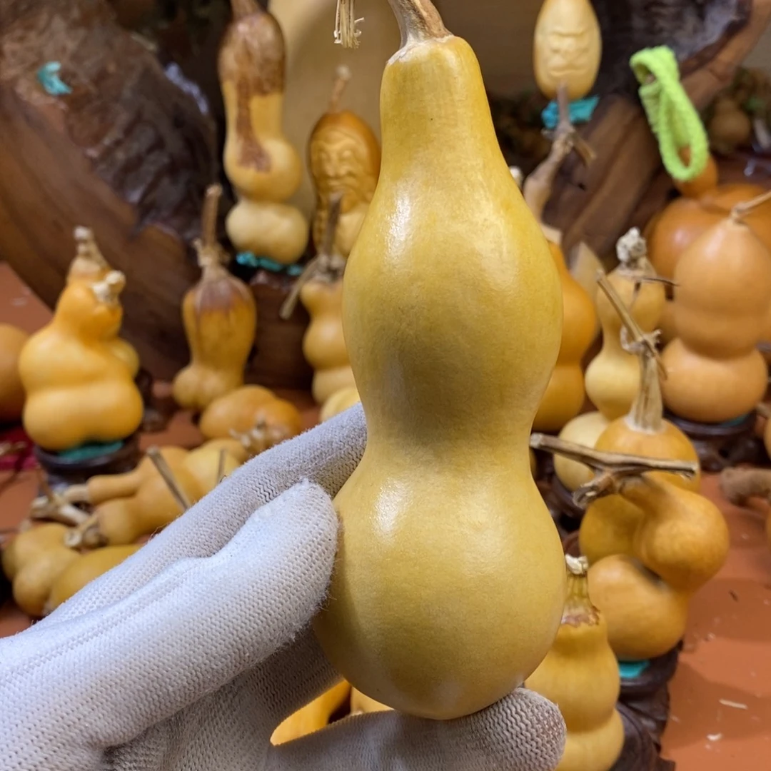 诸***意教练来咯哦哦哦哦哦咯