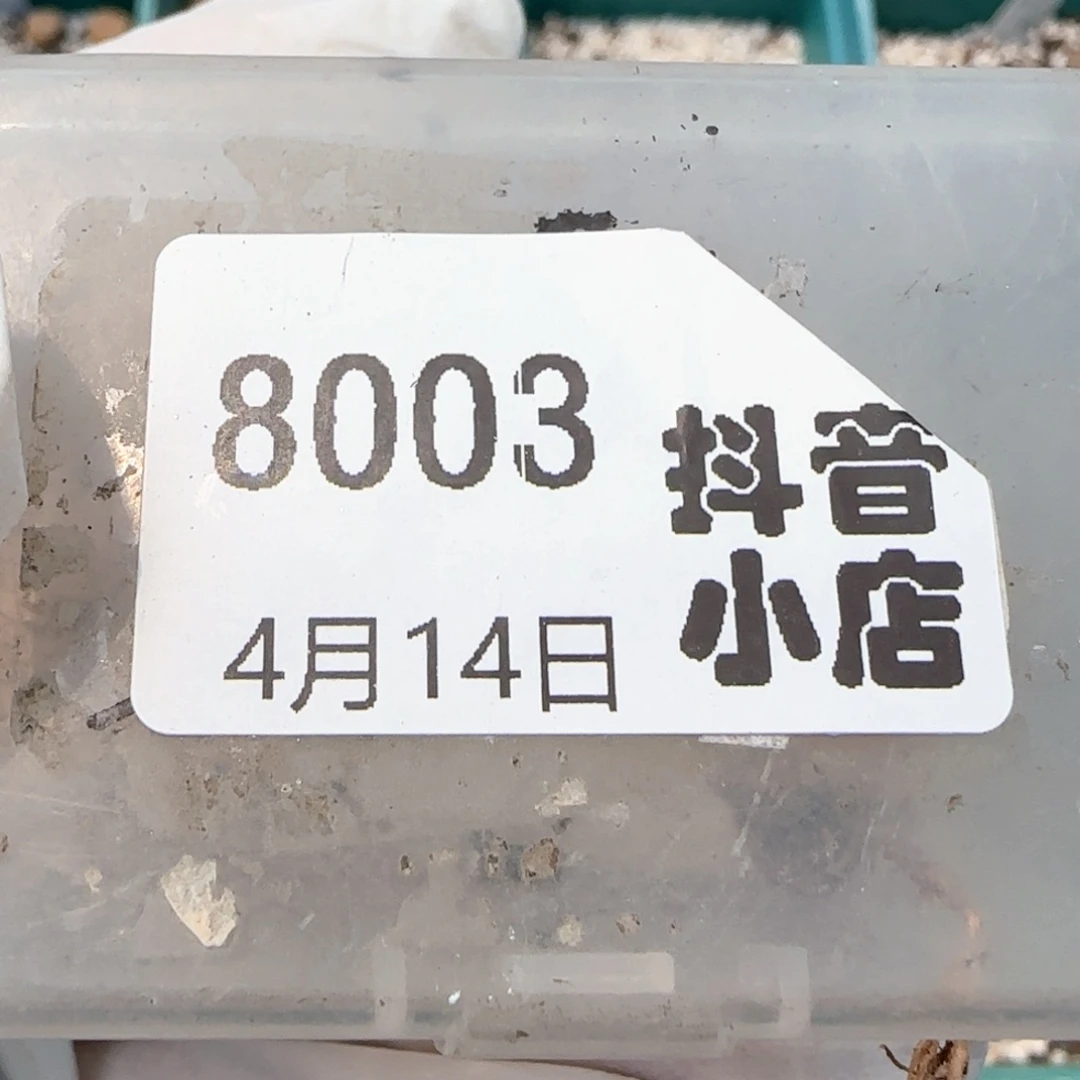 ?****?4.14。饼干4。c324。8003