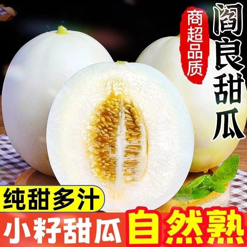 【头茬现摘】陕西阎良甜瓜新鲜水果白皮香瓜香甜多汁小籽蜜瓜