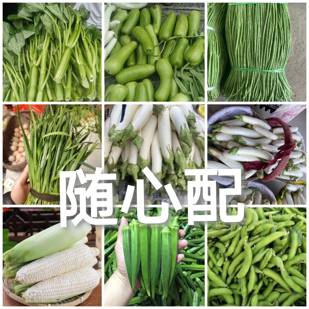 【VIP私人订制】新鲜蔬菜组合(顺丰冷链)