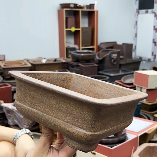 紫砂花盆里都能听到这几