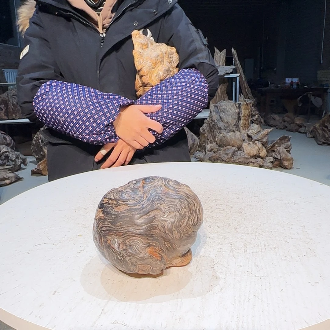 贵***）松木大自然的秘密花园