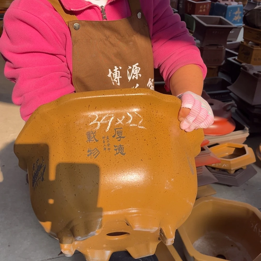 花盆紫砂盆景艺术