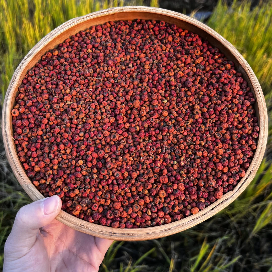 【小勇专属】三明高海拔紫衫醇果