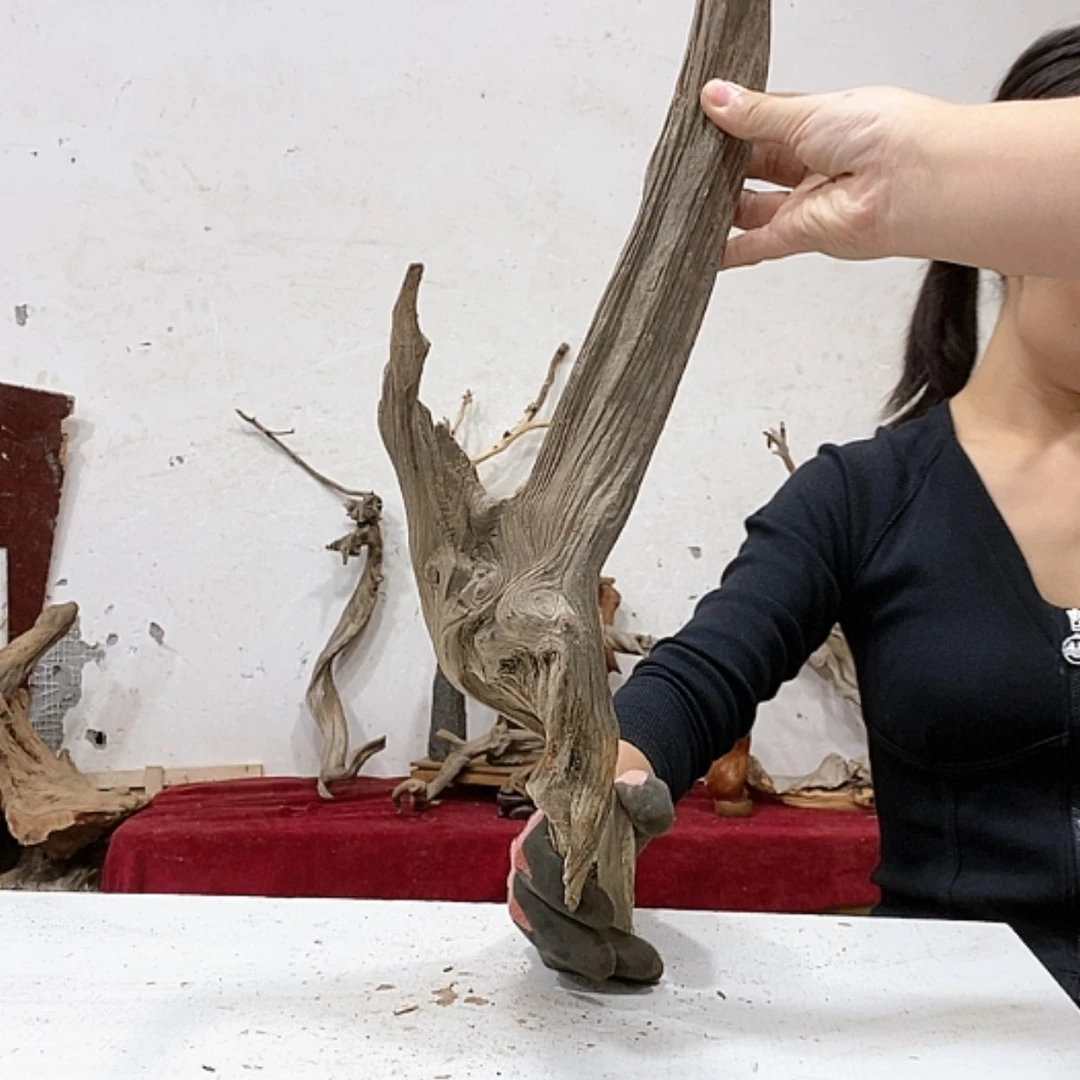 【闪购商品】柏木英**陈我们都是好孩子