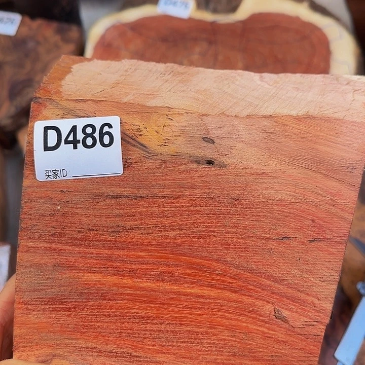 木骑****车小叶羊蹄甲红色料子