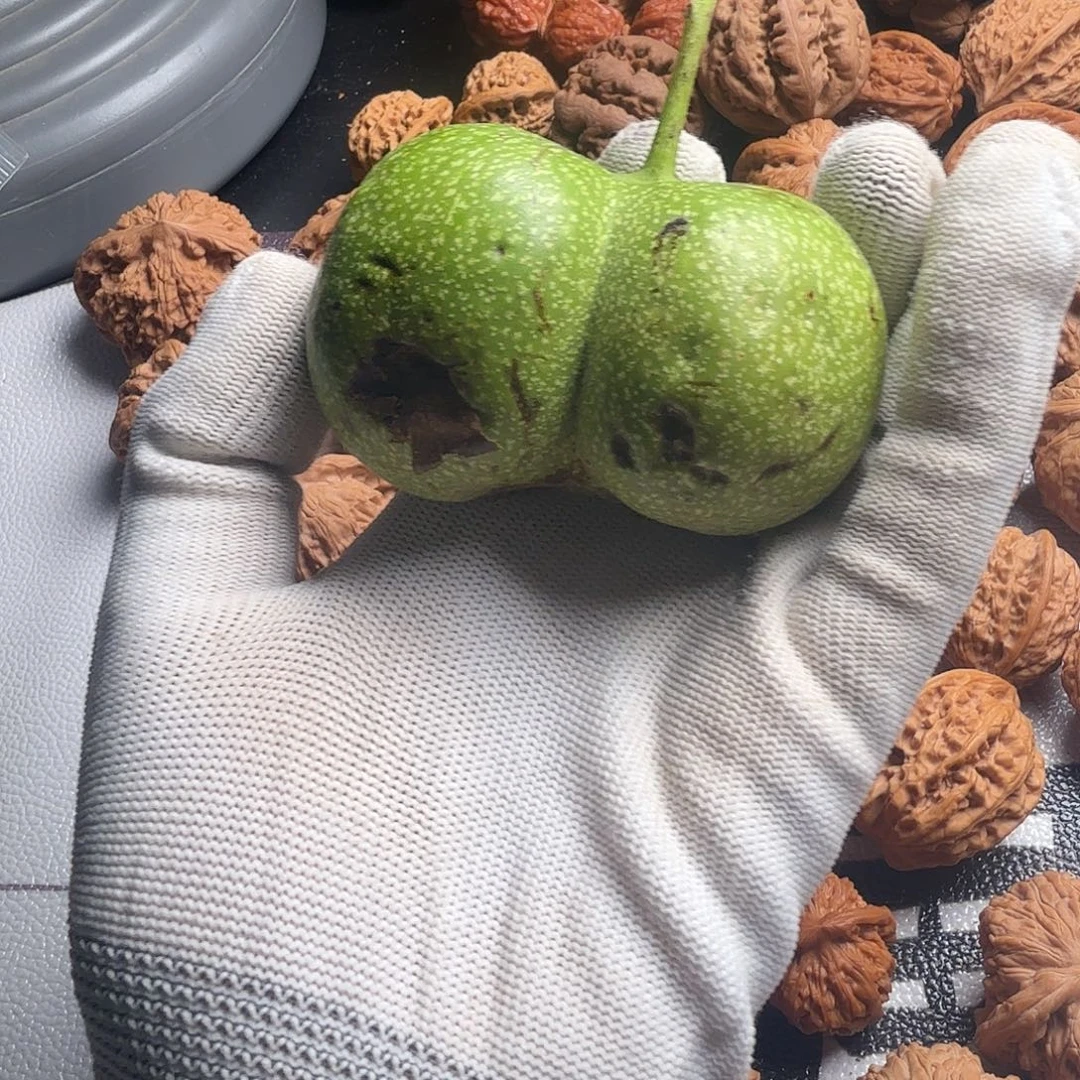 大***哥文玩核桃把件青皮