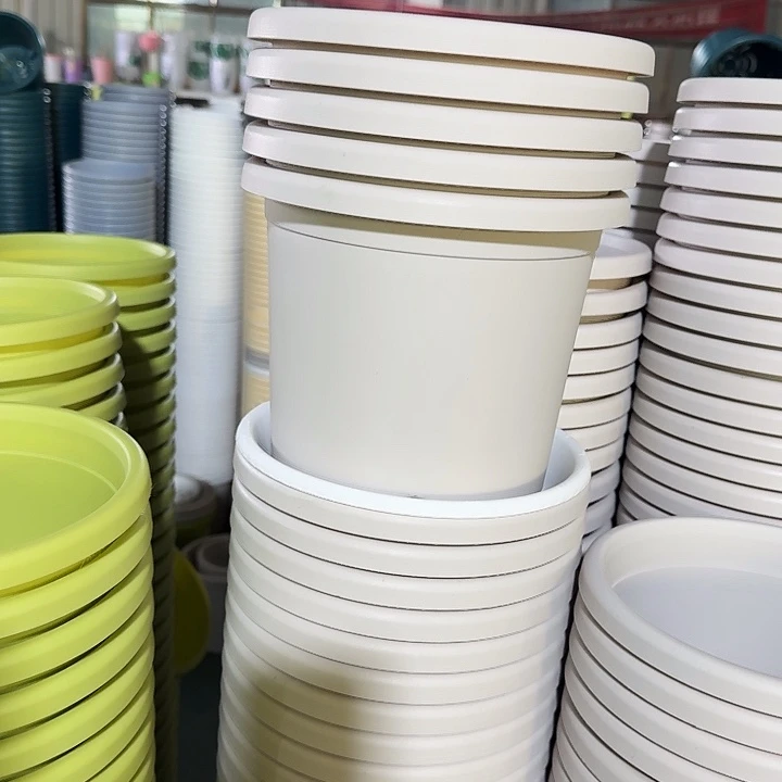 四季3#口径21灰白10个带托