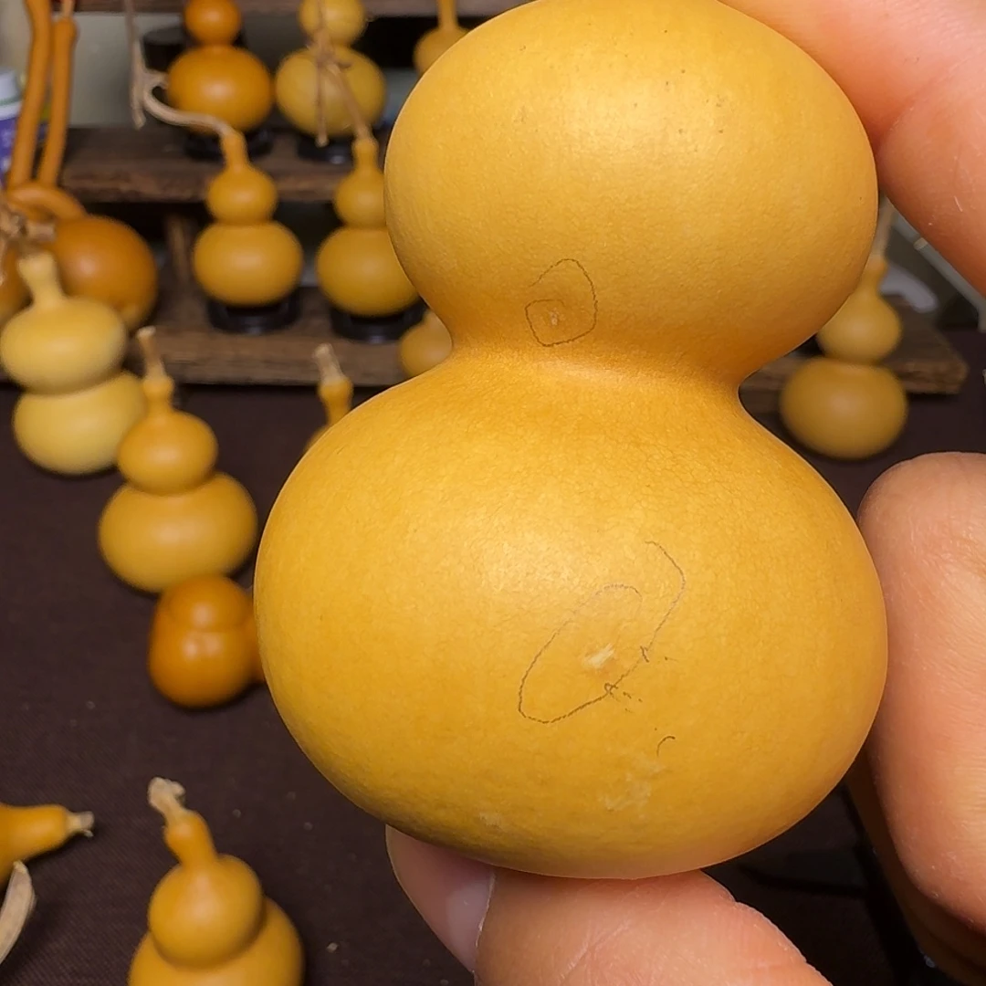 鲨***椒恭喜发财纯天然瑕疵品