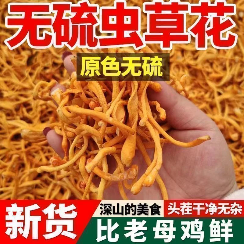 虫草花炖鸡煲汤凉拌的食用菌菇食材