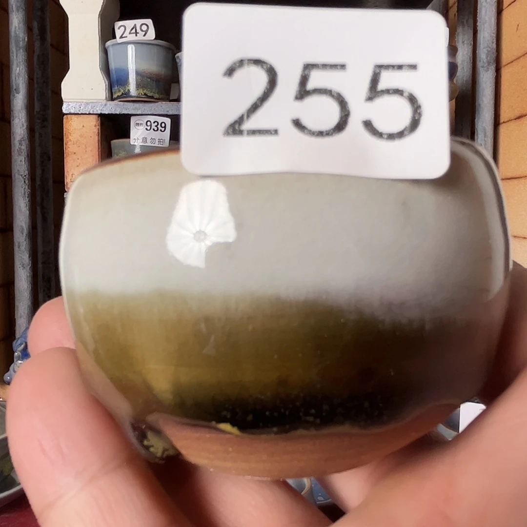 瓷片好的我真的是太喜欢255