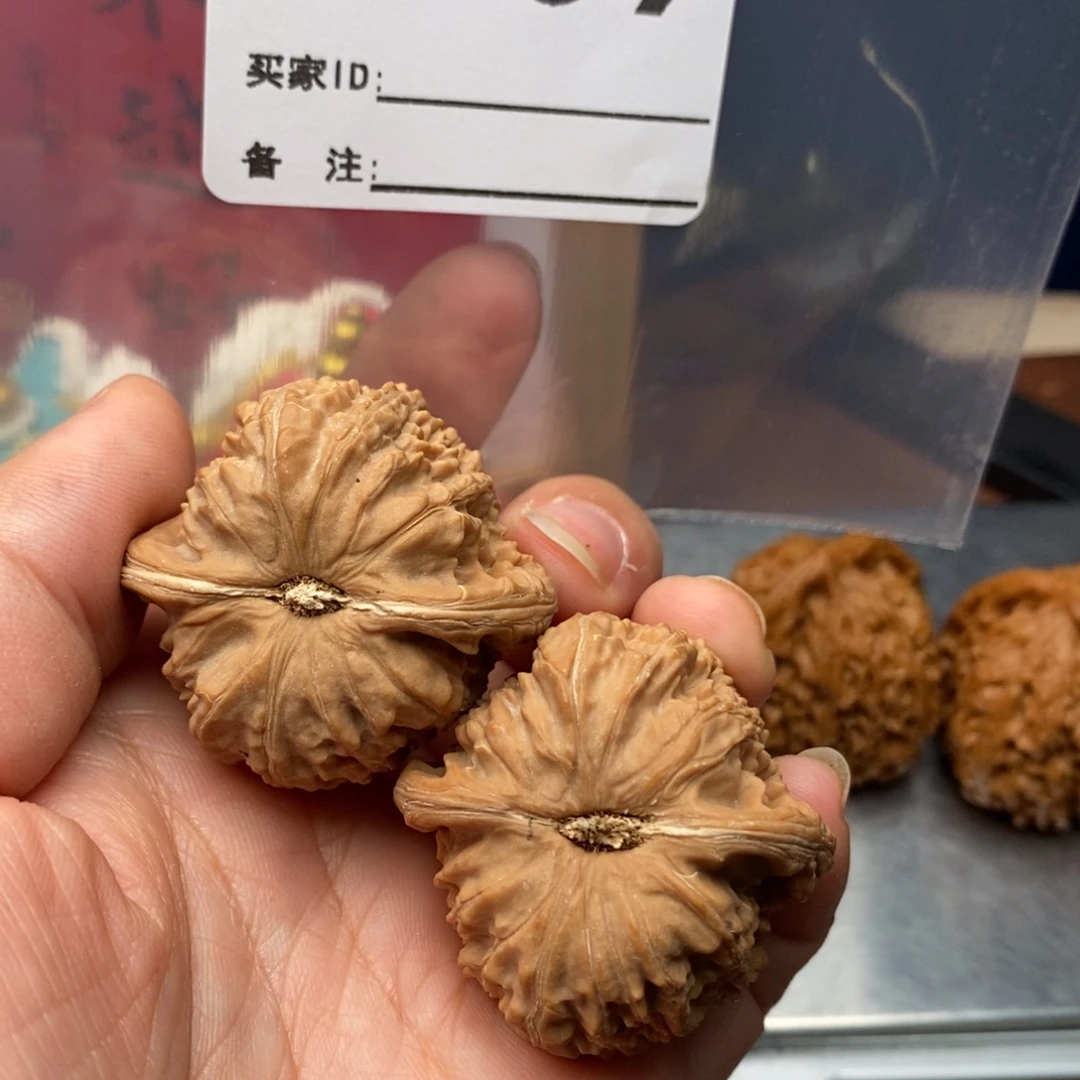 38尺老树三角白B009