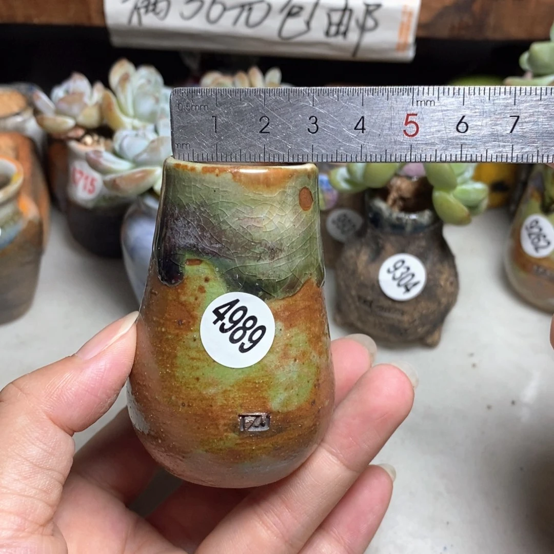 拍5送一个小礼物