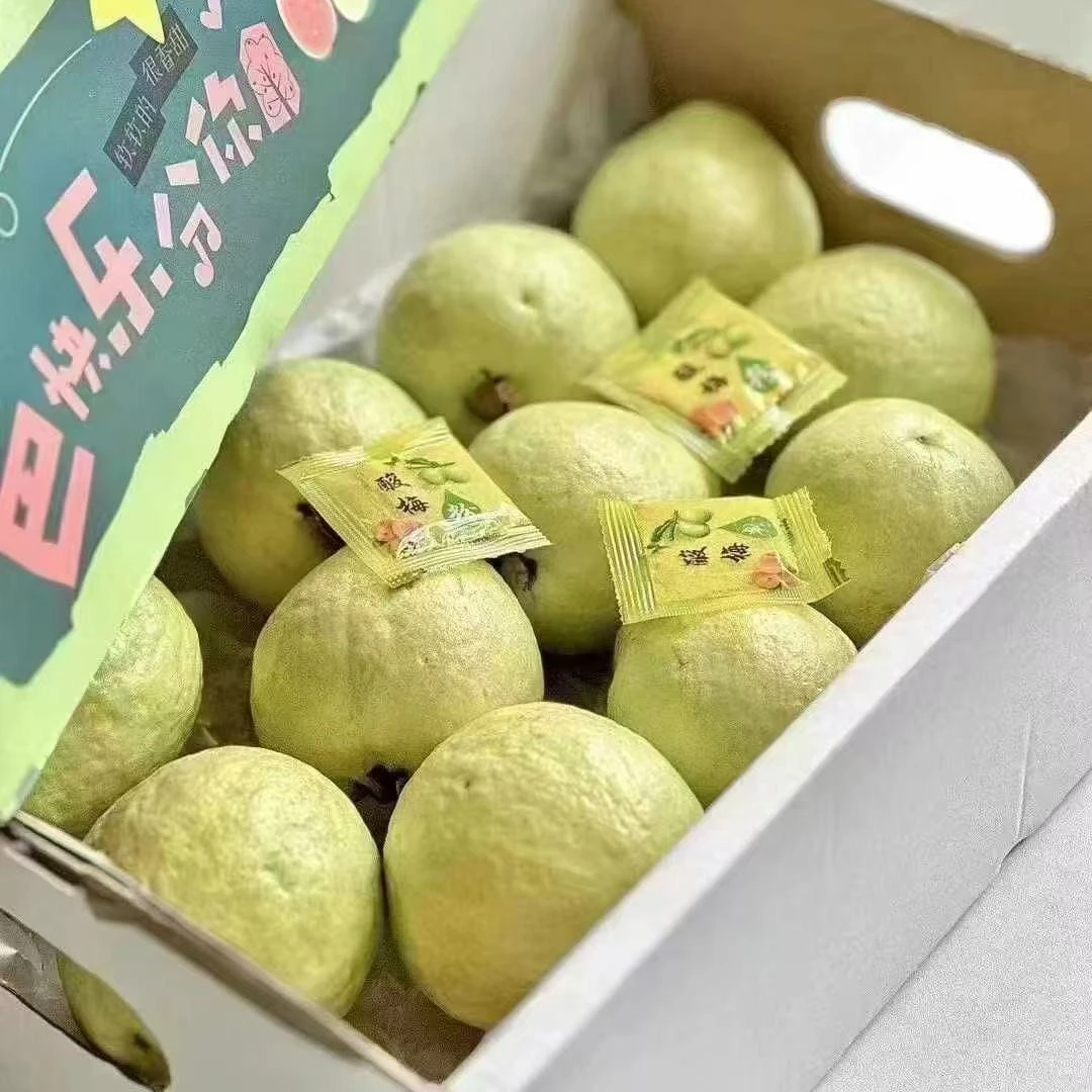 红心白心芭乐番石榴500g