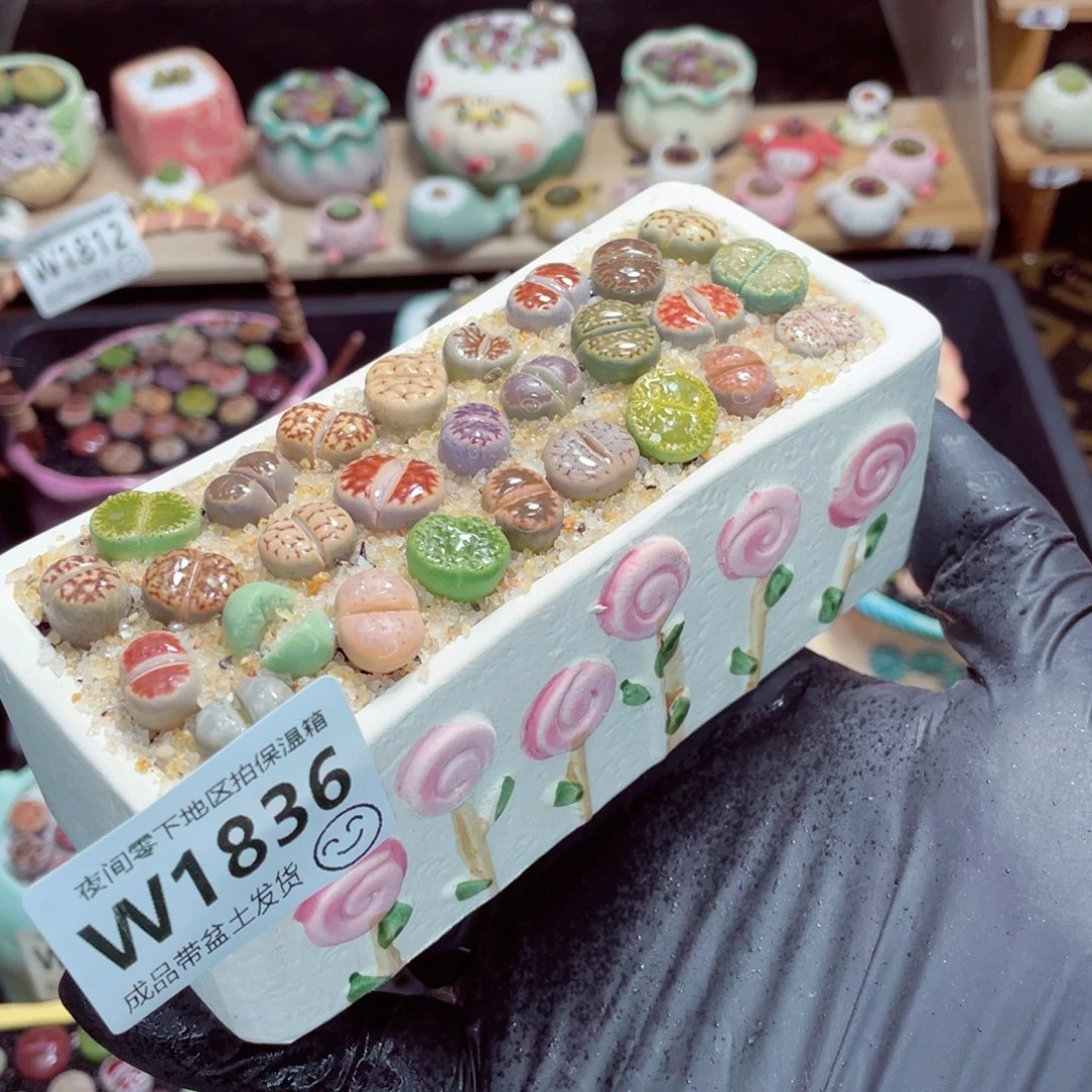 夜间零下地区拍保温箱w1836