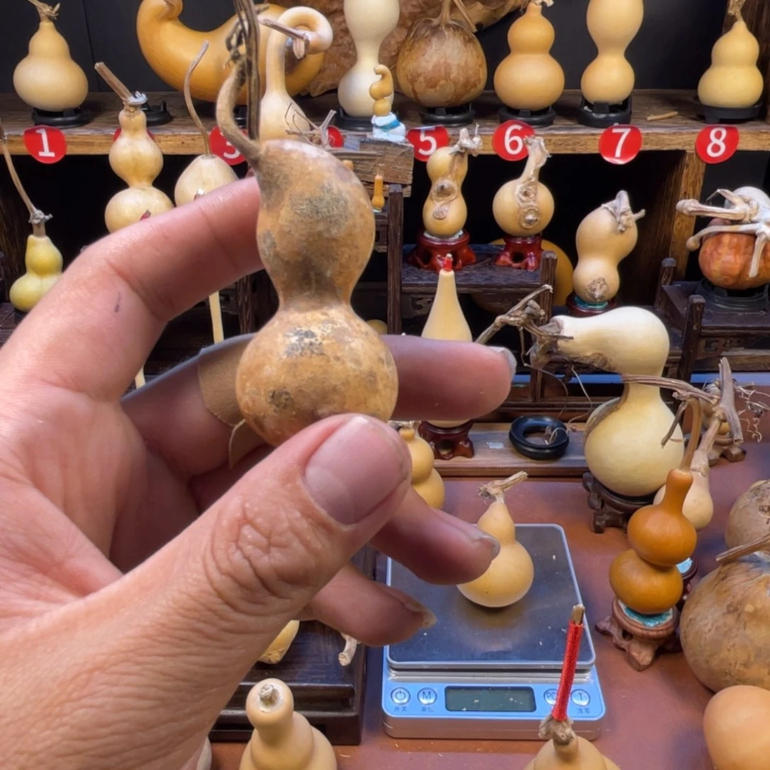 *****葫芦葫芦和他妈妈一起