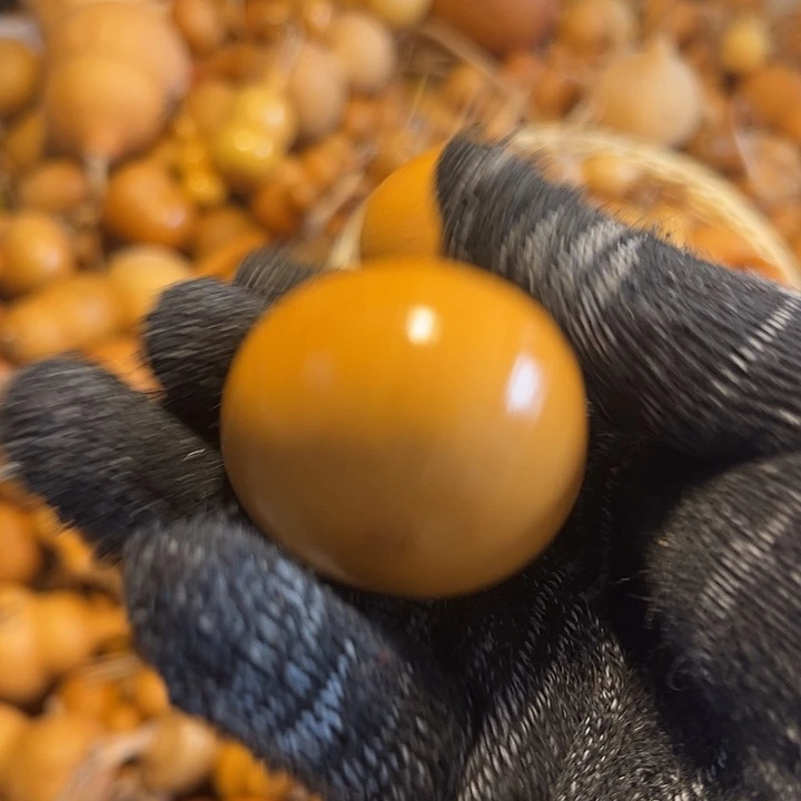 暴***卢不退不换运输中不保龙头完美主义者勿拍