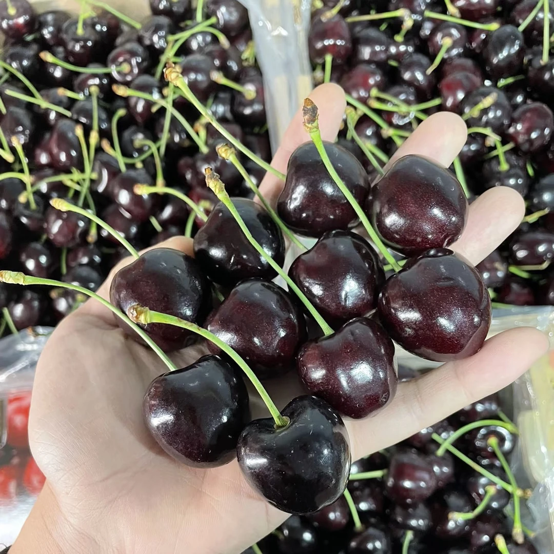 【科迪亚】海运J/2J车厘子顺丰包邮5斤装 内附果径卡