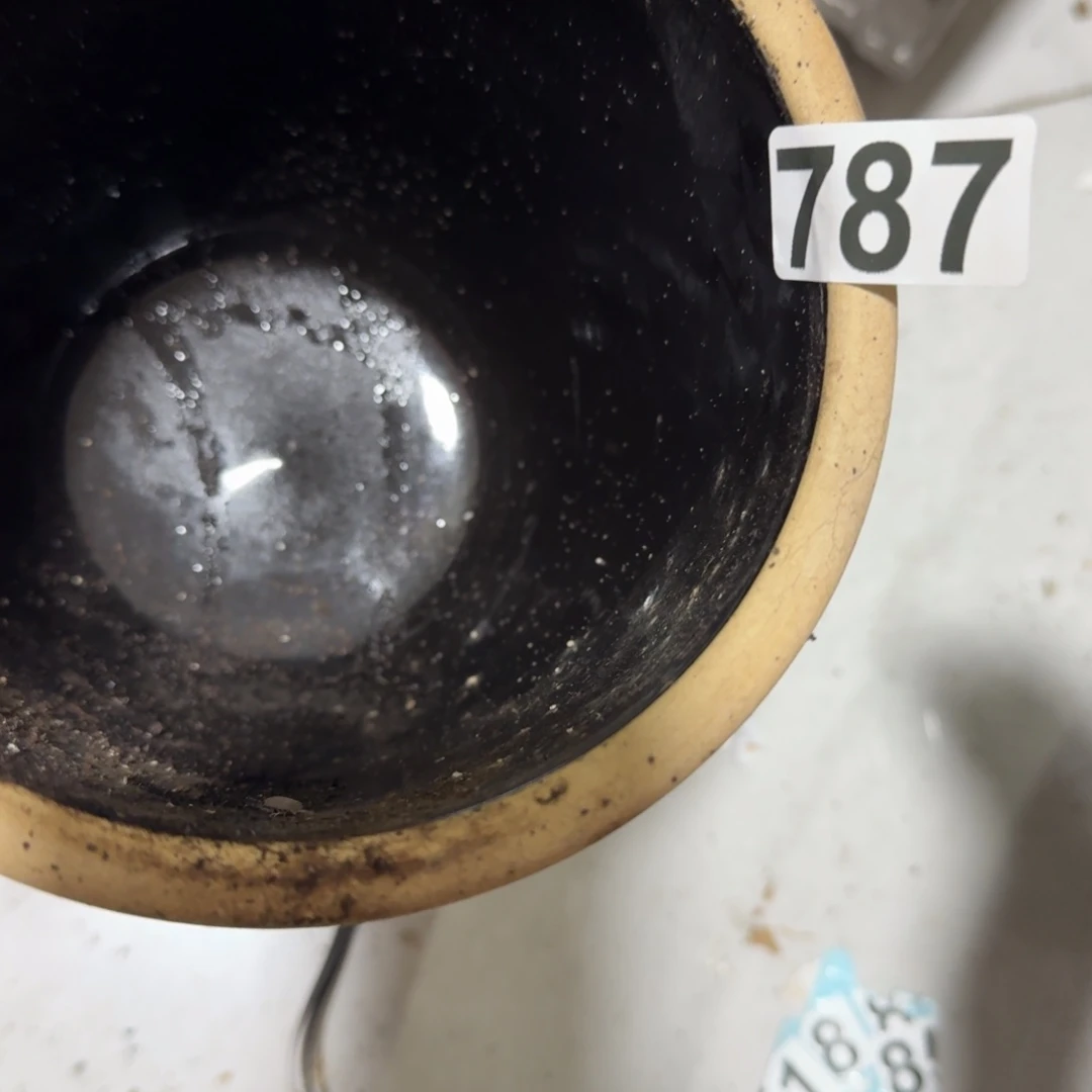 大***子茶盏我是个有情分