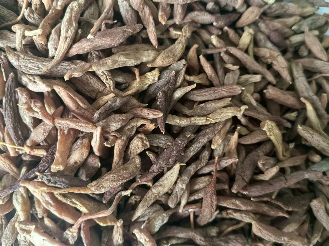 麦冬-云南边境特产麦冬