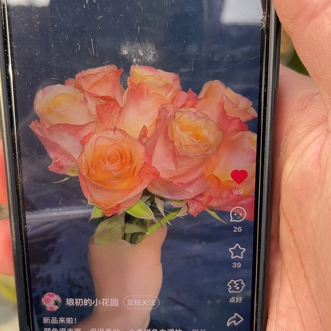 无花朵——-温柔山丘 福利款