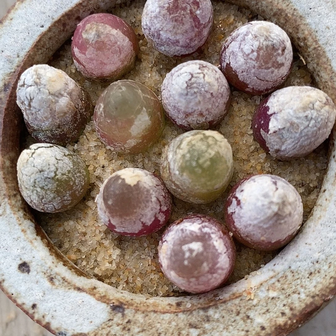 169灯泡福利一颗。