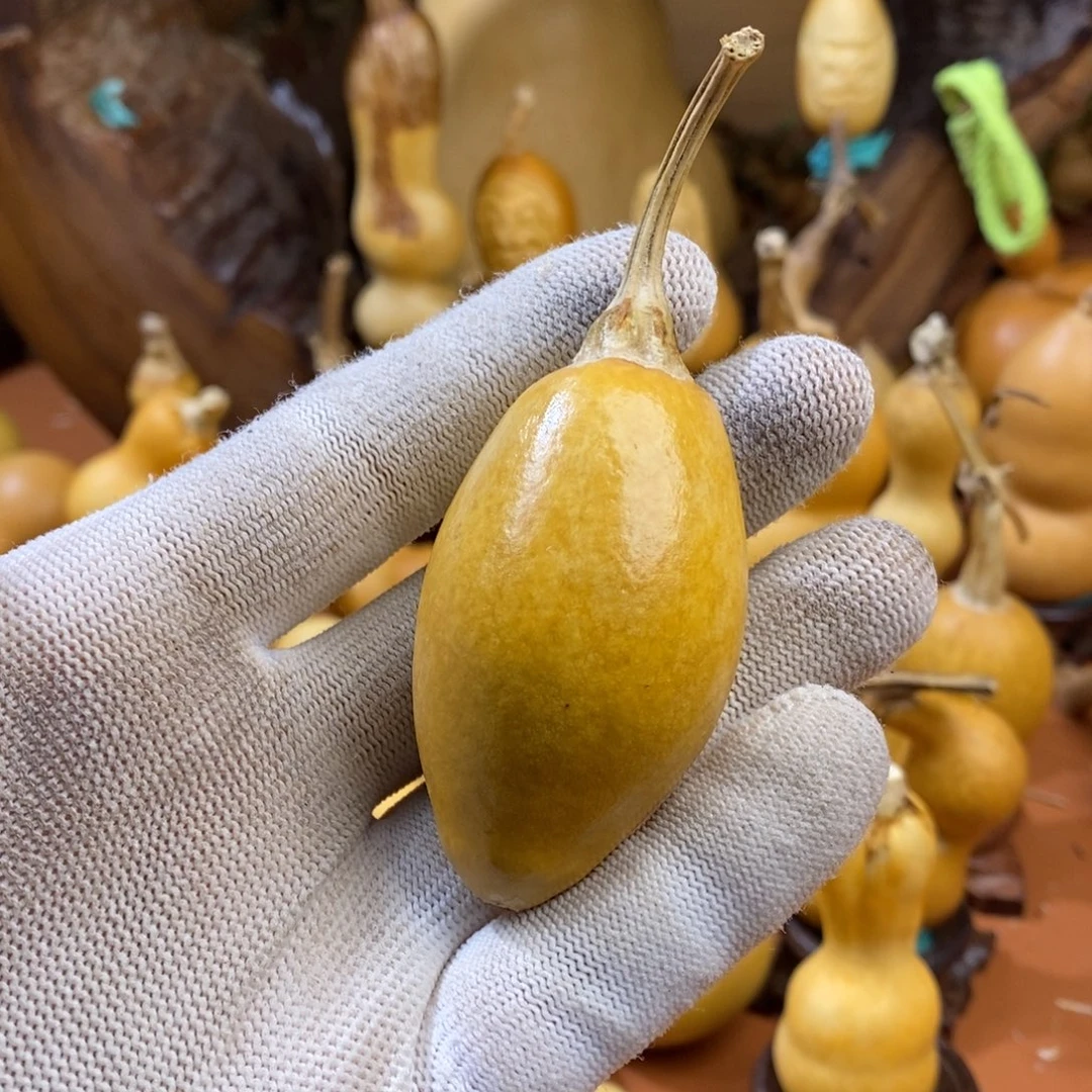 白***水教练咯咯哦哦哦哦咯