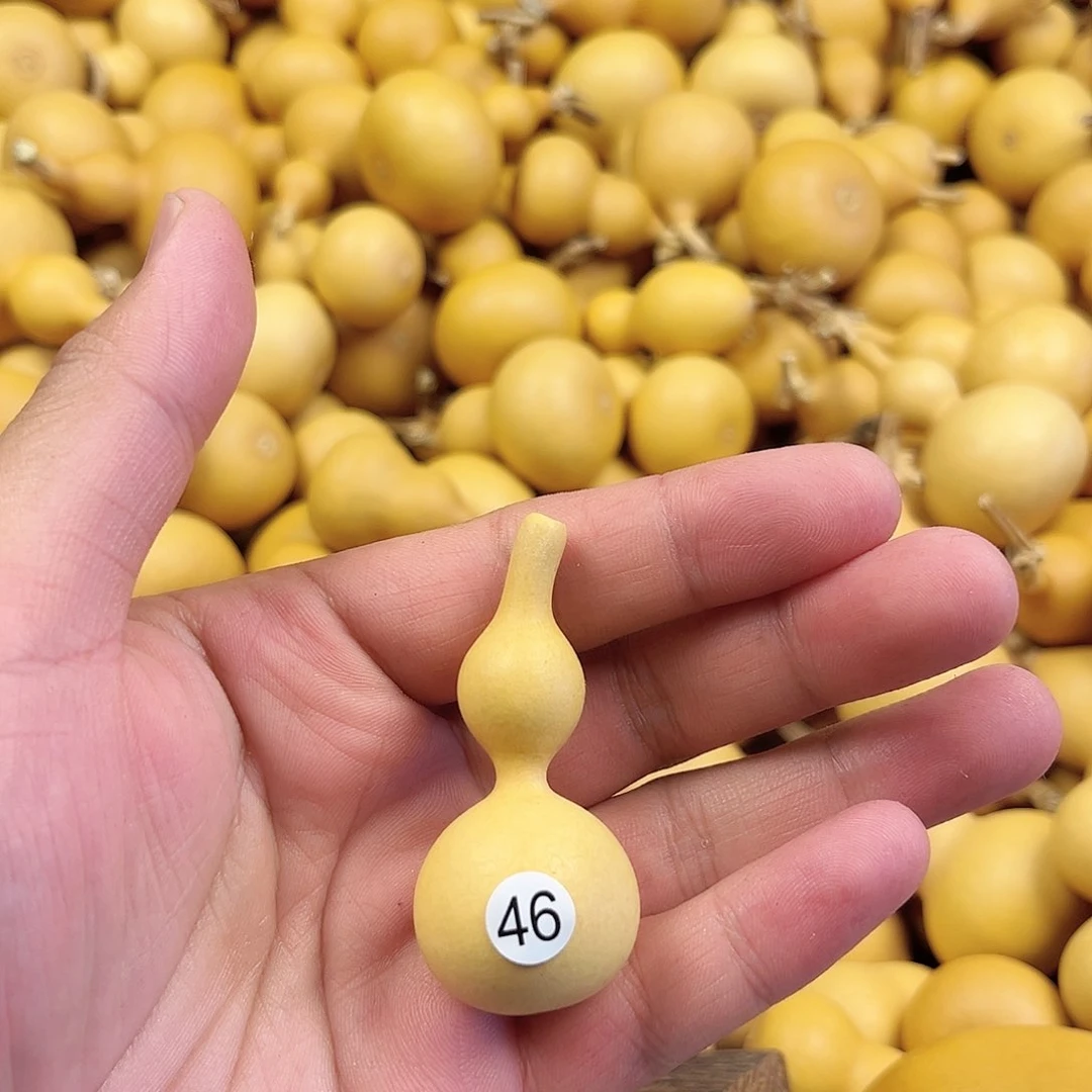 五葫芦葫芦葫芦葫芦葫芦46