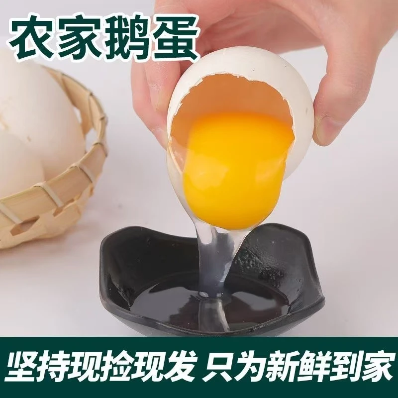 农家散养五谷喂养土鹅蛋营养美味新鲜孕妇小孩放心食用