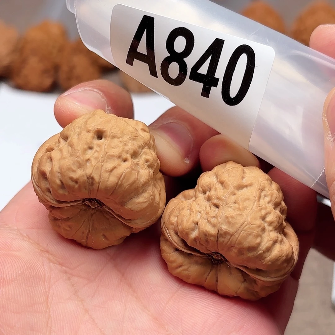 文玩核桃手串古蟾840