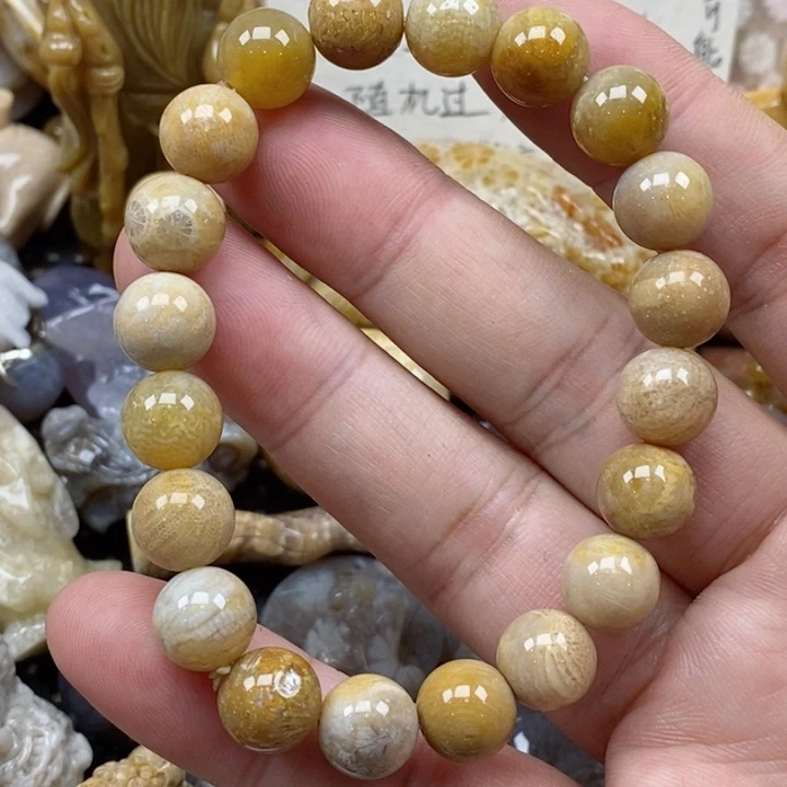颈饰未镶嵌硅化珊瑚（珊瑚玉）