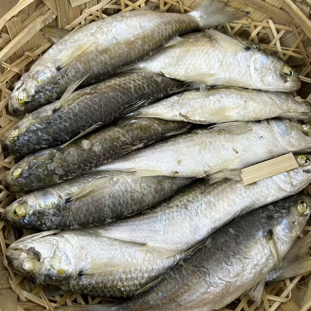 潮汕特色鱼饭弦鱼饭