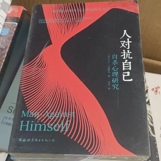 人对抗自己平装库存书全新
