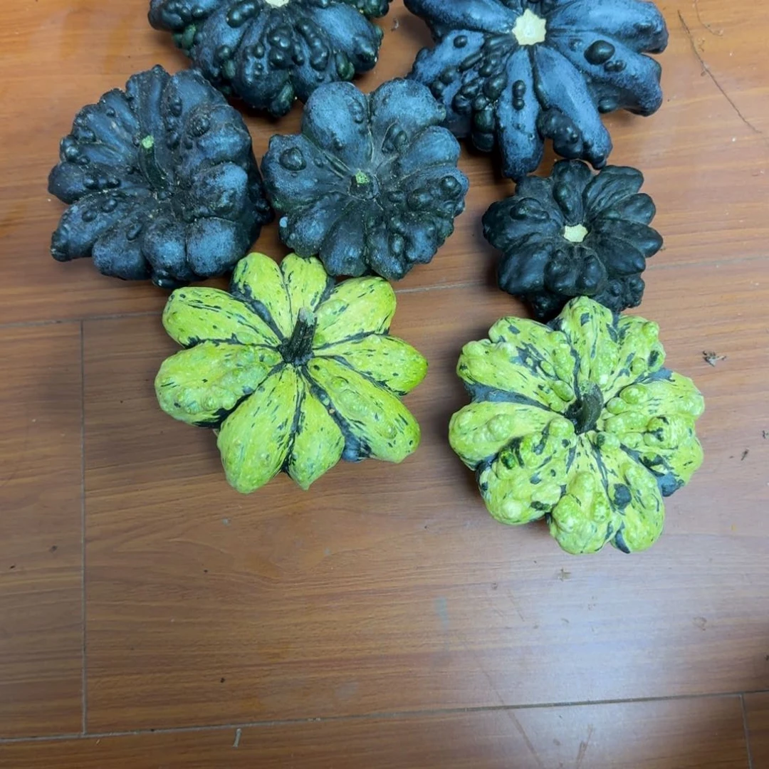 p****n葫芦啊啊啊啊啊啊啊啊啊啊