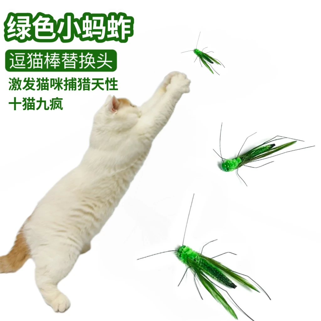 猫咪玩具真昆虫蚂蚱逗猫棒替换头羽毛小飞虫逗猫棒头替换装新款