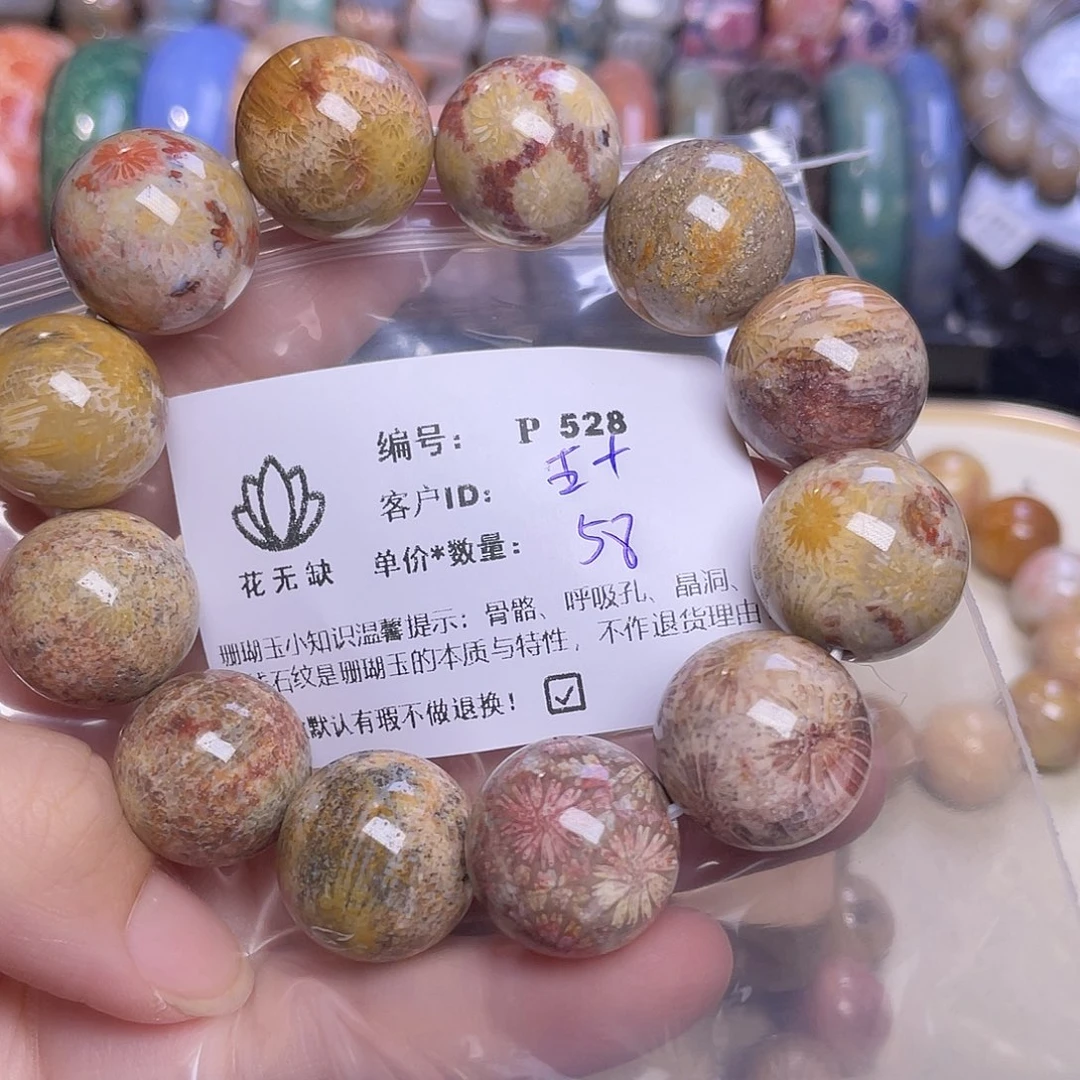 五***鱼未镶嵌手镯硅化玉