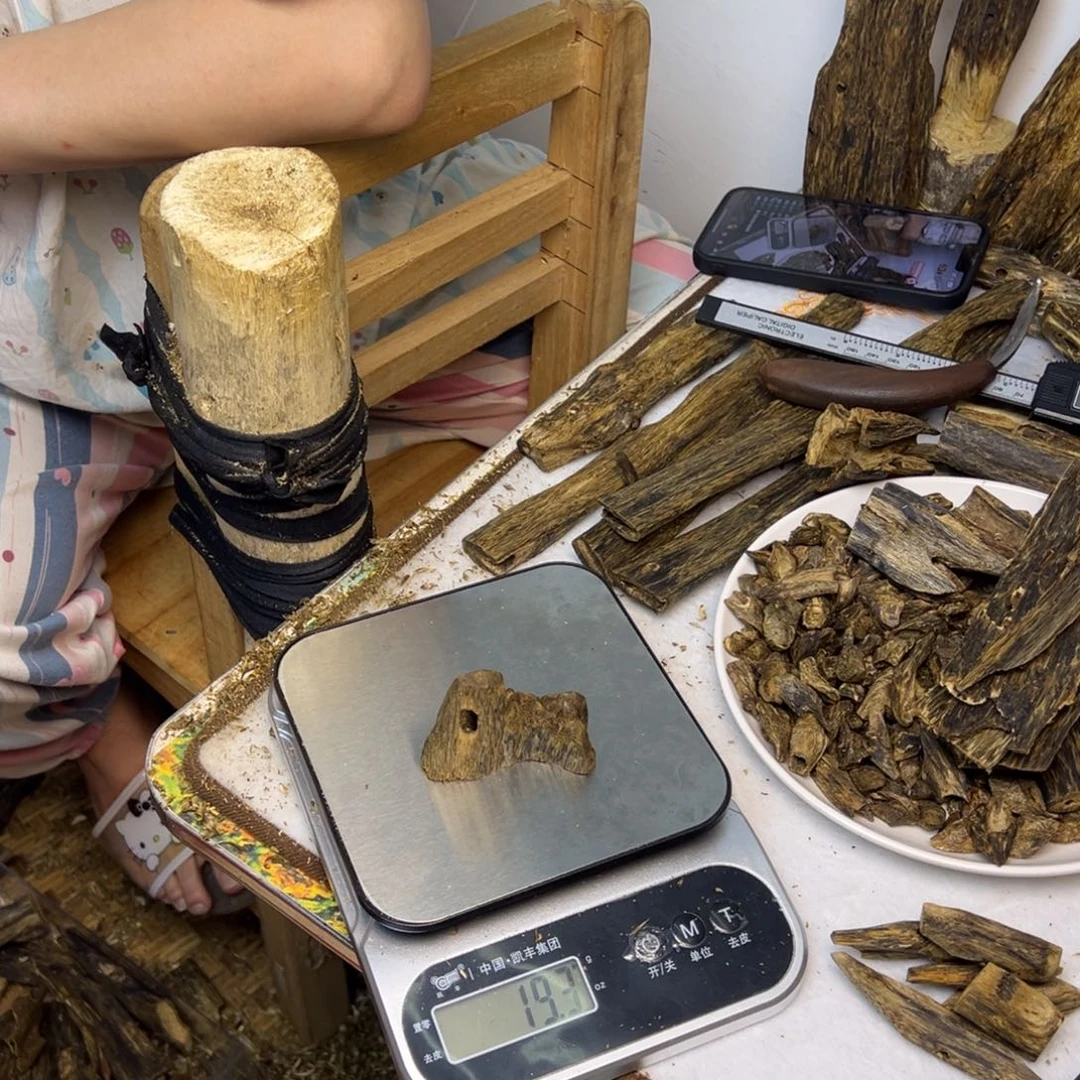 线香奇楠虫漏香19克
