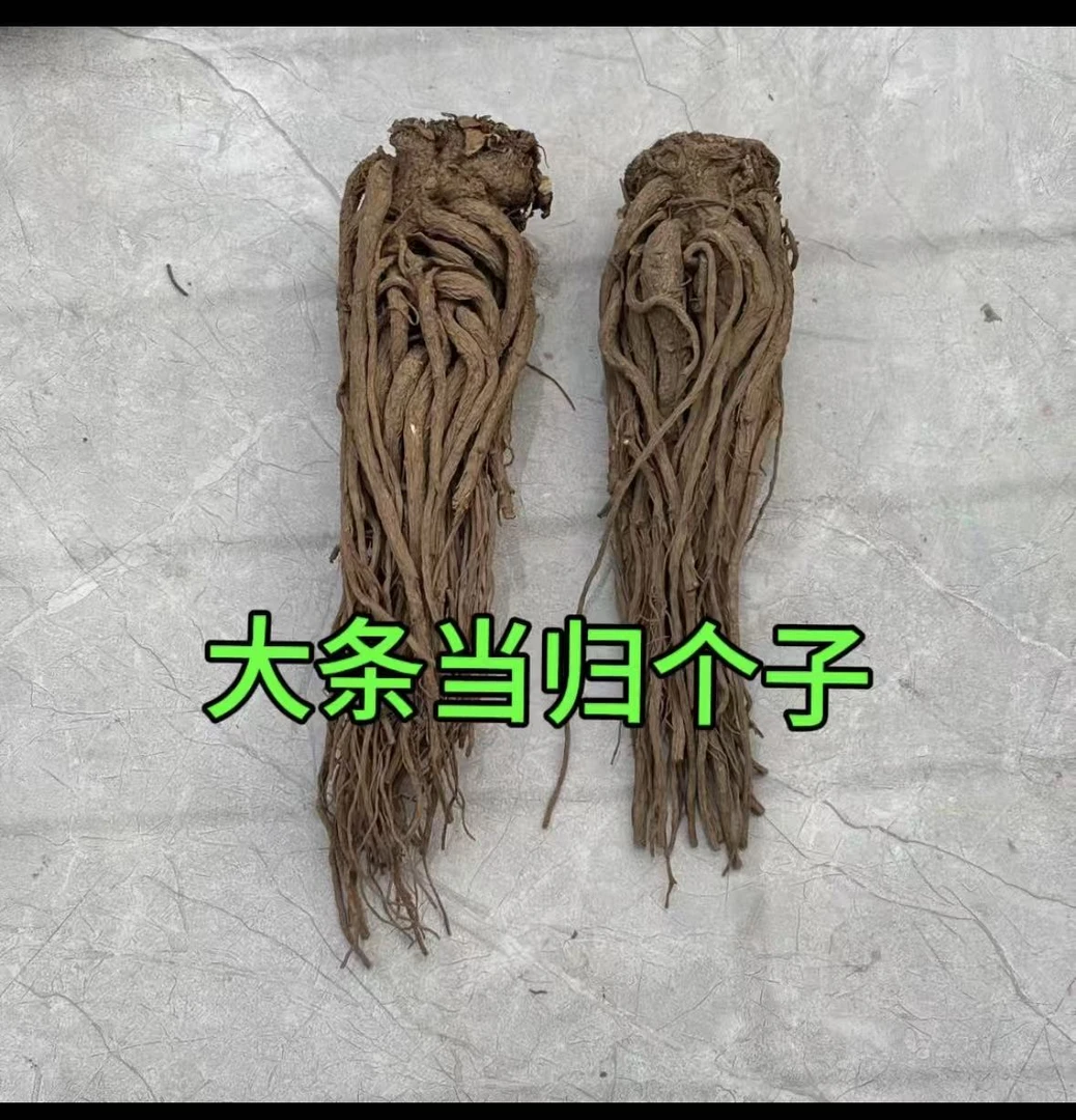 甘肃岷县正宗当归整根自然晒干无熏硫可煲汤养生干货