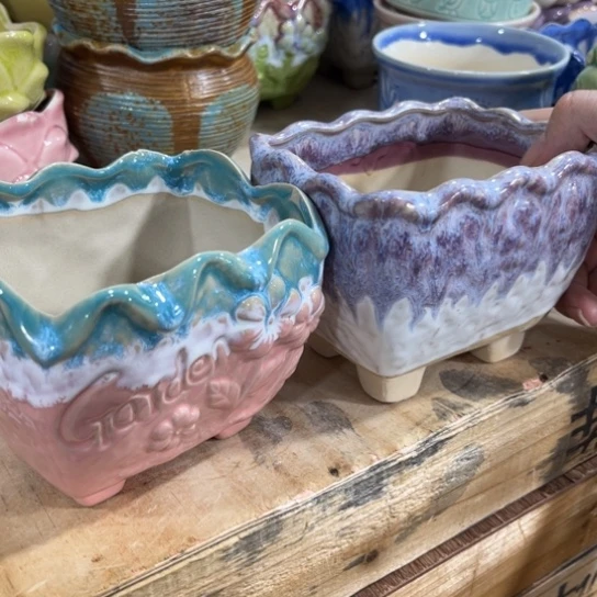 姐姐，什么盆都有，什么盆都会上，不点菜，稍微等一下哈