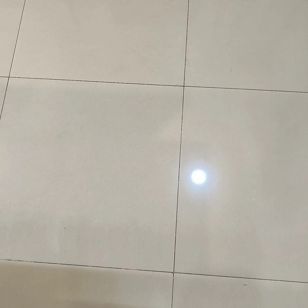 书法舍**✊世国世国世国