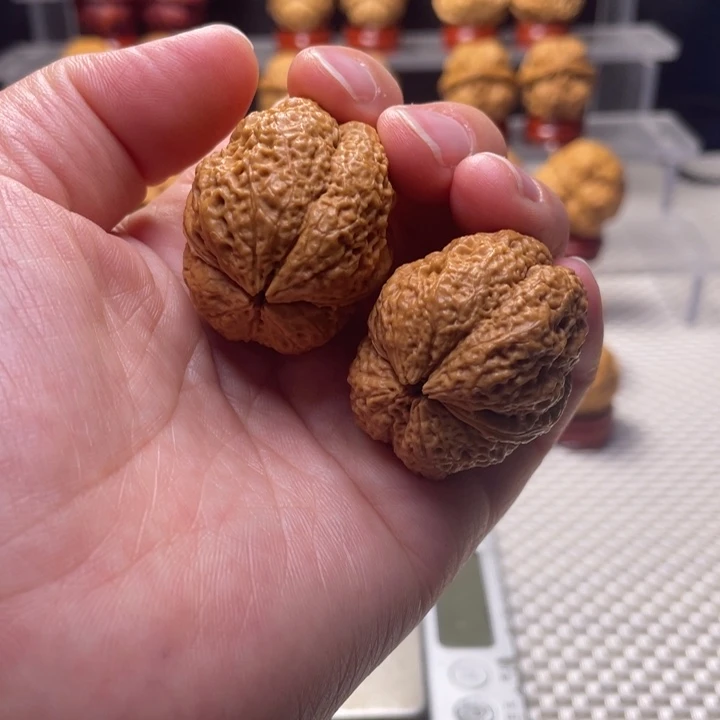 文玩核桃把件8古树蚂蚁开背王